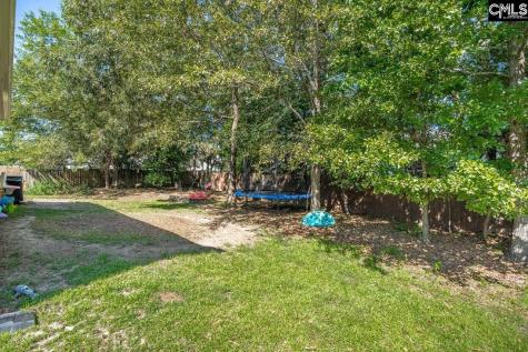 137 Fresh Spring Way Lexington SC 29072