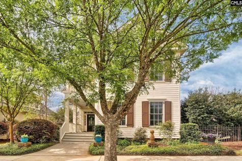 241 River Club Road Lexington SC 29072-6718