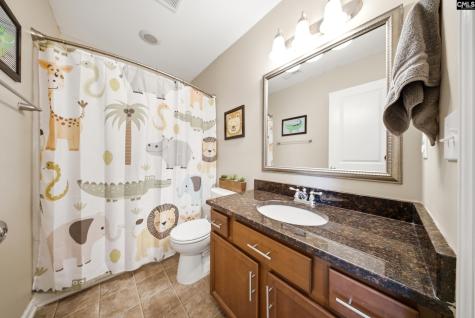 232 Chestnut Oak Lane Lexington SC 29169