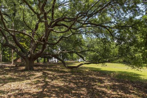 414 Greene Street Camden SC 29020