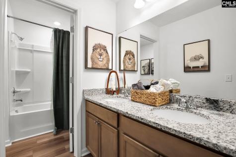 221 Kingsley Drive Blythewood SC 29016