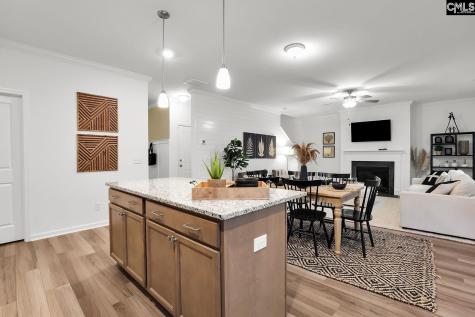 221 Kingsley Drive Blythewood SC 29016
