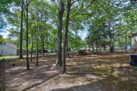 1113 Riverwalk Way Irmo SC 29063