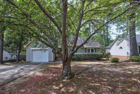 1113 Riverwalk Way Irmo SC 29063