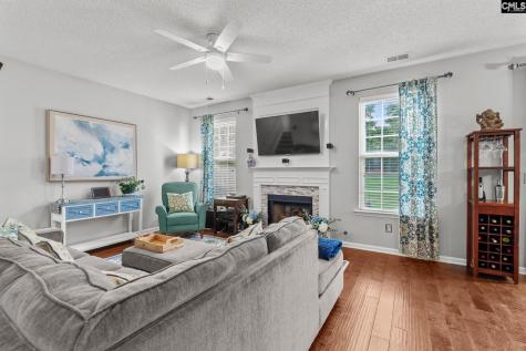 325 Buckthorne Drive Lexington SC 29072
