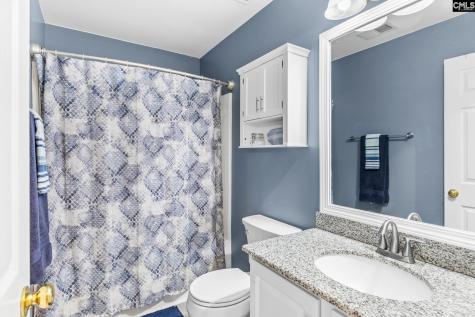 325 Buckthorne Drive Lexington SC 29072