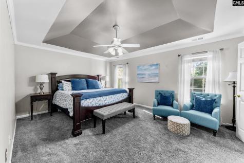 325 Buckthorne Drive Lexington SC 29072