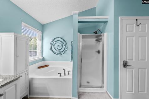 325 Buckthorne Drive Lexington SC 29072