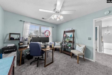 325 Buckthorne Drive Lexington SC 29072