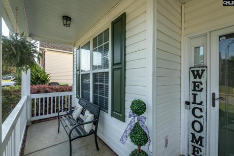 325 Buckthorne Drive Lexington SC 29072