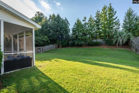 325 Buckthorne Drive Lexington SC 29072