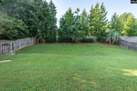 325 Buckthorne Drive Lexington SC 29072