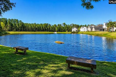 325 Buckthorne Drive Lexington SC 29072