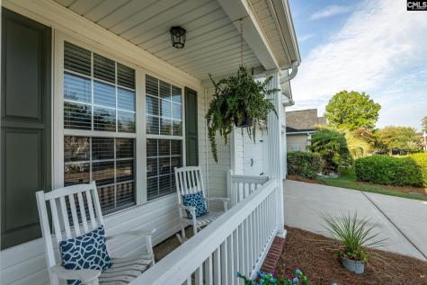 325 Buckthorne Drive Lexington SC 29072