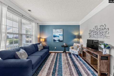 325 Buckthorne Drive Lexington SC 29072