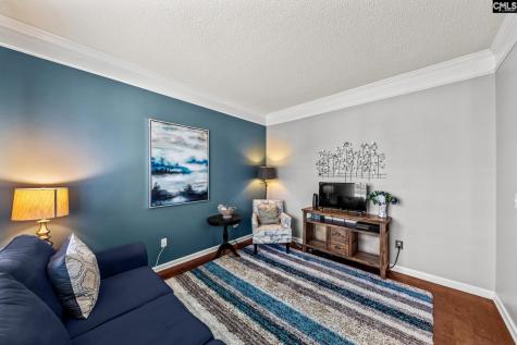 325 Buckthorne Drive Lexington SC 29072