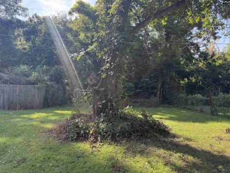 160 Willow Street Winnsboro SC 29180