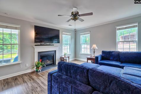 151 Chason Road Lexington SC 29073