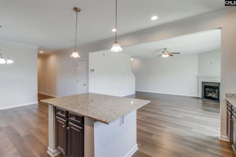 441 N Cobia Court Irmo SC 29063