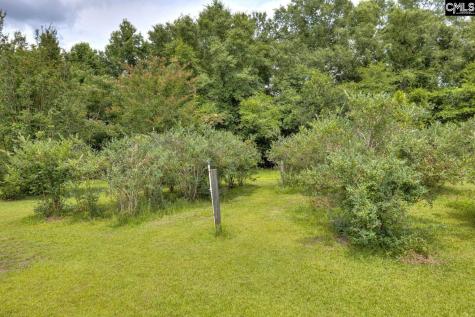 8095 Broom Factory Road Rembert SC 29128