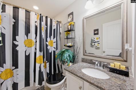 223 Cassique Drive Lexington SC 29073