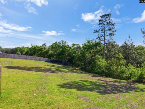 223 Cassique Drive Lexington SC 29073