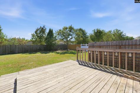 132 Sandy Creek Court Gaston SC 29053