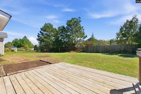 132 Sandy Creek Court Gaston SC 29053