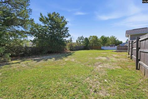 132 Sandy Creek Court Gaston SC 29053