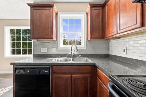 132 Sandy Creek Court Gaston SC 29053