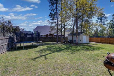 109 White Birch Court Lexington SC 29073