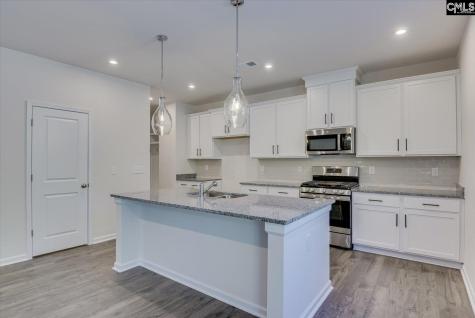 266 Summer Orchard Drive Lexington SC 29072