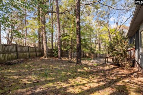 18 Saddleback Ledge Court Irmo SC 29063