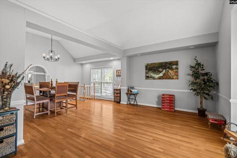 18 Saddleback Ledge Court Irmo SC 29063
