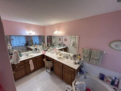 1043 Old Bush River Road Chapin SC 29036