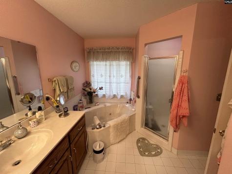 1043 Old Bush River Road Chapin SC 29036