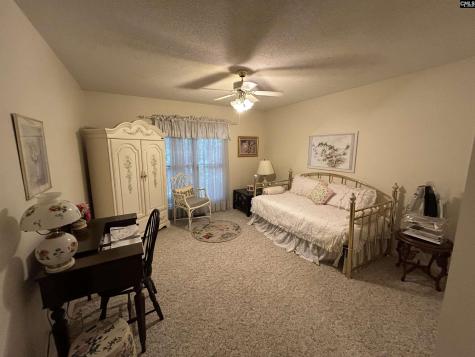 1043 Old Bush River Road Chapin SC 29036