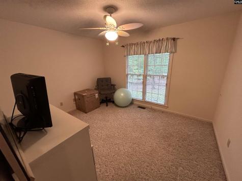 1043 Old Bush River Road Chapin SC 29036