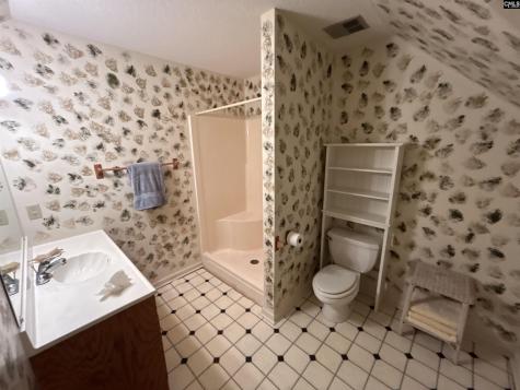 1043 Old Bush River Road Chapin SC 29036