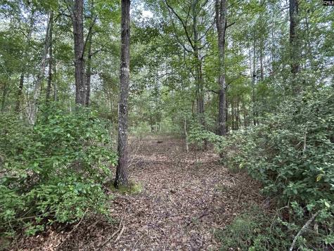 1043 Old Bush River Road Chapin SC 29036