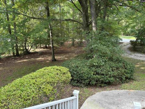 1043 Old Bush River Road Chapin SC 29036