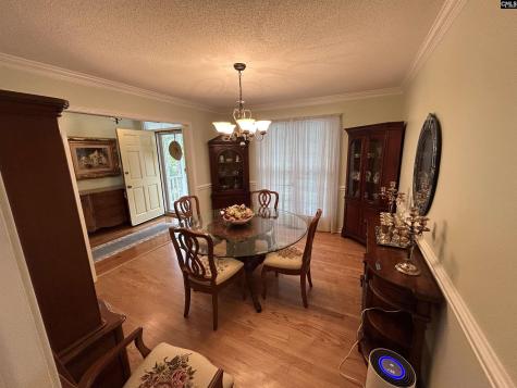 1043 Old Bush River Road Chapin SC 29036