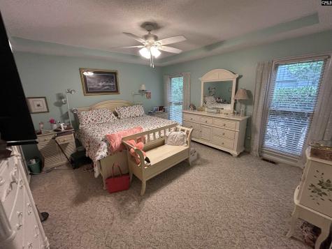 1043 Old Bush River Road Chapin SC 29036