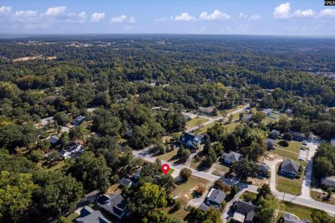 304 Hendrix Street Lexington SC 29072