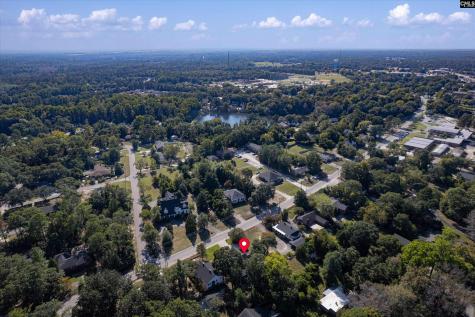 304 Hendrix Street Lexington SC 29072