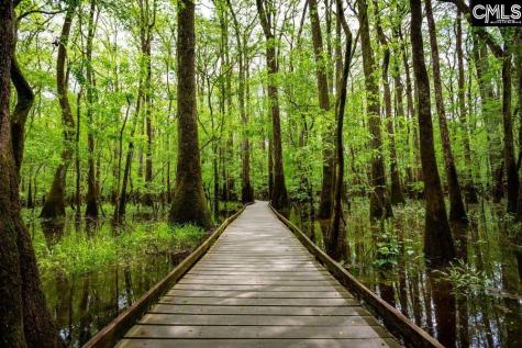 572 Swamp Grass Drive Columbia SC 29209