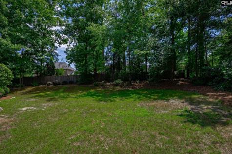 168 Secret Cove Drive Lexington SC 29072