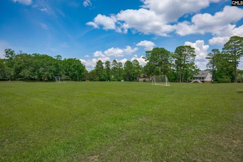 168 Secret Cove Drive Lexington SC 29072