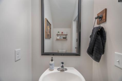 413 Blue Artesian Way Lexington SC 29073-9828
