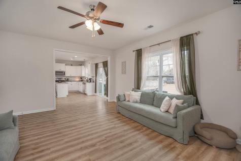 413 Blue Artesian Way Lexington SC 29073-9828
